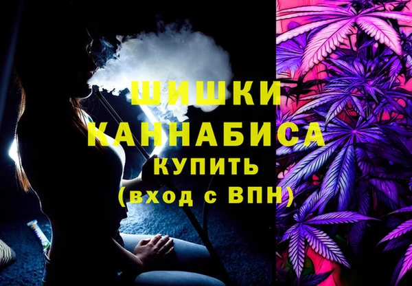 амф Арсеньев