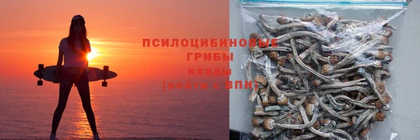 амф Арсеньев