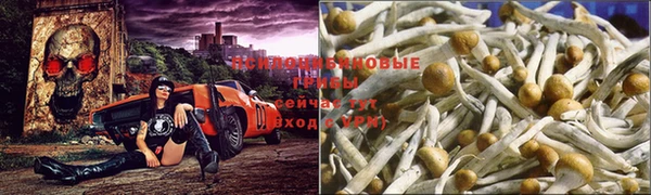 амф Арсеньев